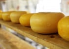 3 raisons qui font qu'on aime les fromages qui sentent fort  - Fromages  