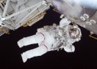 Des chefs étoilés cuisinent pour les astronautes  - Astronaute  