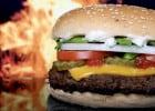 Fast-foods américains : la lutte contre l’obésité  - Hamburger : steak, fromage, tomate, salade  
