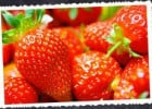Fraise et Courtepaille  - Amoncellement de fraises  