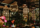 La folie des restaurants thématiques à Nice  - Salle de restaurant fleurie et végétalisée  