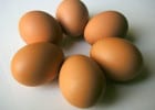 Les bienfaits de l’œuf  - Des oeufs  