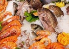 Les produits de la mer : petit rappel sur la fraîcheur  - Poissons et fruits de mer  