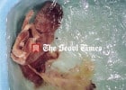 Une soupe de fœtus humain  - Foetus humain baignant dans l'eau  