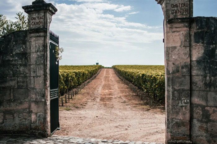  Vignoble à Saint-Émilion, France  