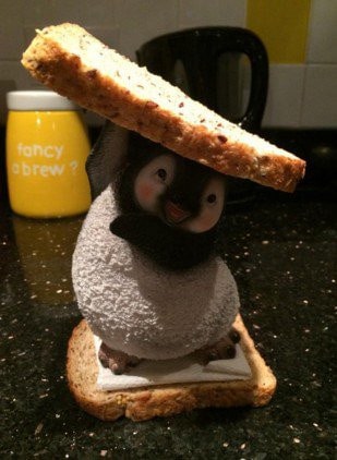  Sandwich et pingouin en peluche   