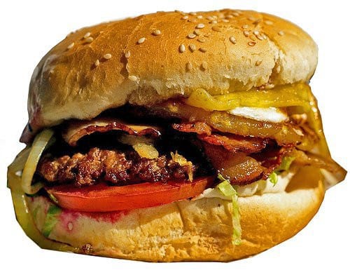  Composition casher de burger  