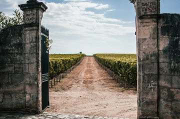 Dîners éphémères dans les vignobles bordelais