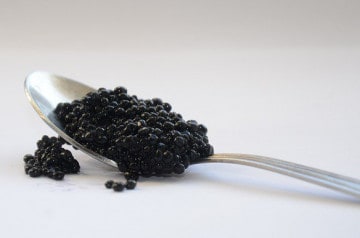 Le caviar, la star du chef Camdeborde pour les fêtes