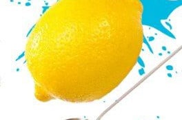 Lemoni : le citron au cœur de sa carte