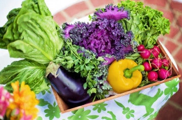 Manger des légumes : les impacts sur l’environnement