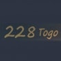 Logo 228 togo