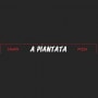 Logo A piantata
