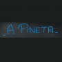 Logo A Pineta