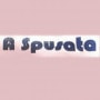 Logo A Spusata