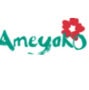 Logo Ameyoko