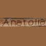 Logo Anatolia
