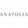 Logo Anatolia