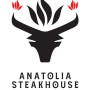Logo Anatolia