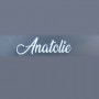 Logo Anatolie