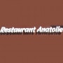 Logo Anatolie