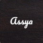 Logo Assya