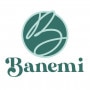Logo Banemi
