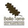 Logo Belle Terre