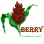 Logo Berry