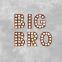 Logo Big Bro
