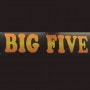 Logo Big five