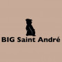 BIG Saint André Dolus d'Oleron
