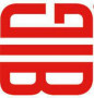 Logo Big Smash
