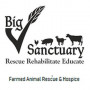 Logo Big V Sanctuary