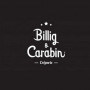 Billig & Carabin Saint Pierre d'Irube