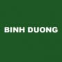 Binh Duong Pessac