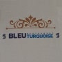 Logo Bleu Turquoise