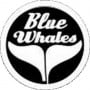 Blue Whales Nice