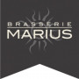 Brasserie Marius Lyon 3