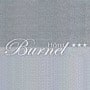 Logo Burnel