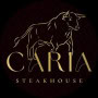 Logo Caria