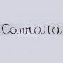 Logo Carrara