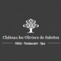 Logo Château Les Oliviers de Salettes