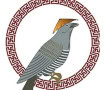 Logo Coucou