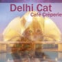 Delhi Cat Café Lancieux