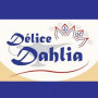 Logo Délice Dahlia