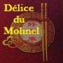 Logo Délice du Molinel