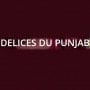 Logo Delices de punjab