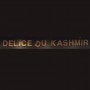Délices du Kashmir Nanterre