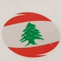 Logo Délices du Liban